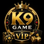 K9 Game