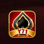 Y71 Game